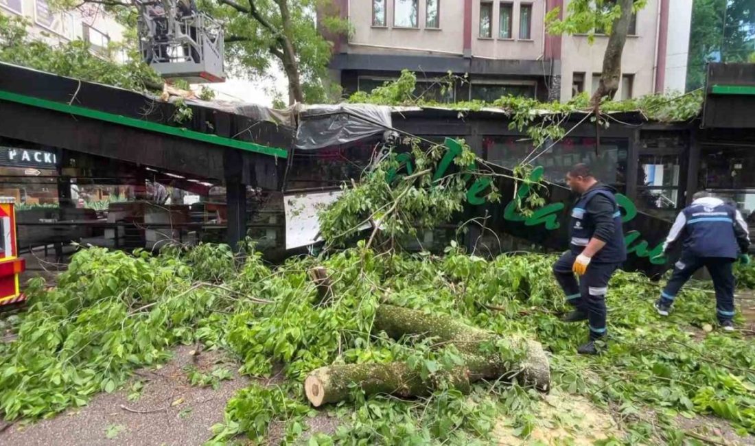 Dev ağaç kafenin üzerine devrildi, facia teğet geçti Kocaeli’nin İzmit ilçesinde öğle saatlerinde etkili olan şiddetli rüzgar ve
