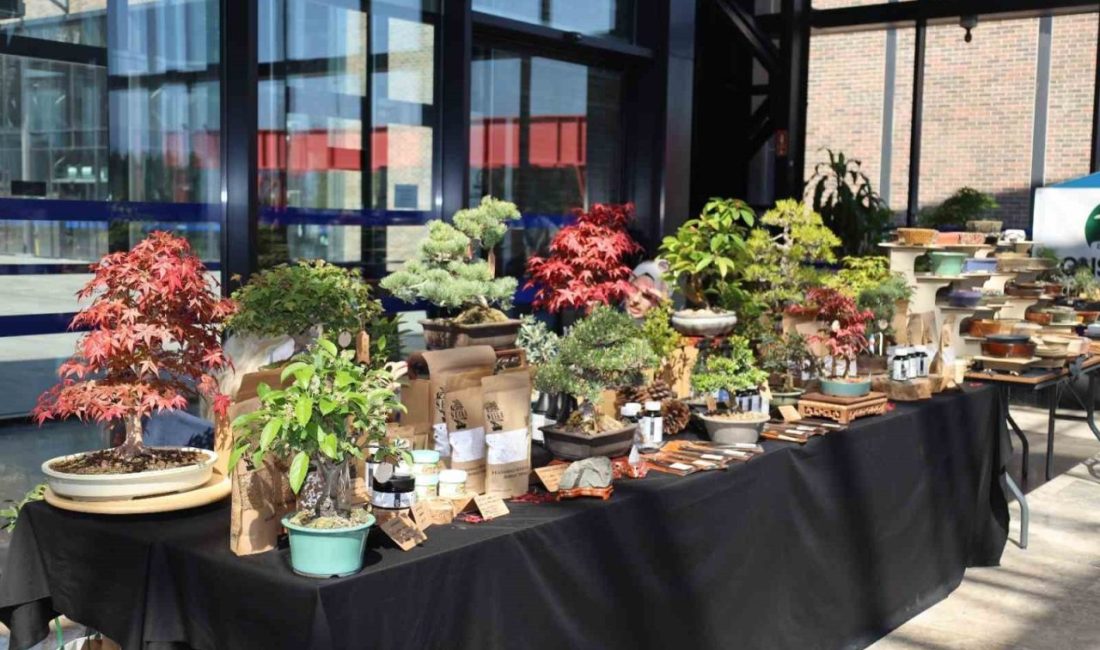 Doğa ve sanat tutkunları bonsai sanatı ile tanıştı Kocaeli’de düzenlenen V. Ulusal Bonsai Sergisi ve Sempozyumu’nda vatandaşlar doğanın