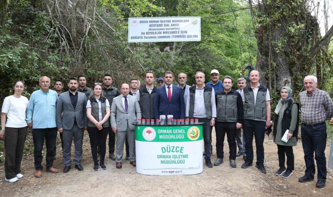 Düzce 80 bin adet böcek salınacak DÜZCE(İHA) – Düzce’de Kestane Gal arısı zararlısına karşı bu yıl