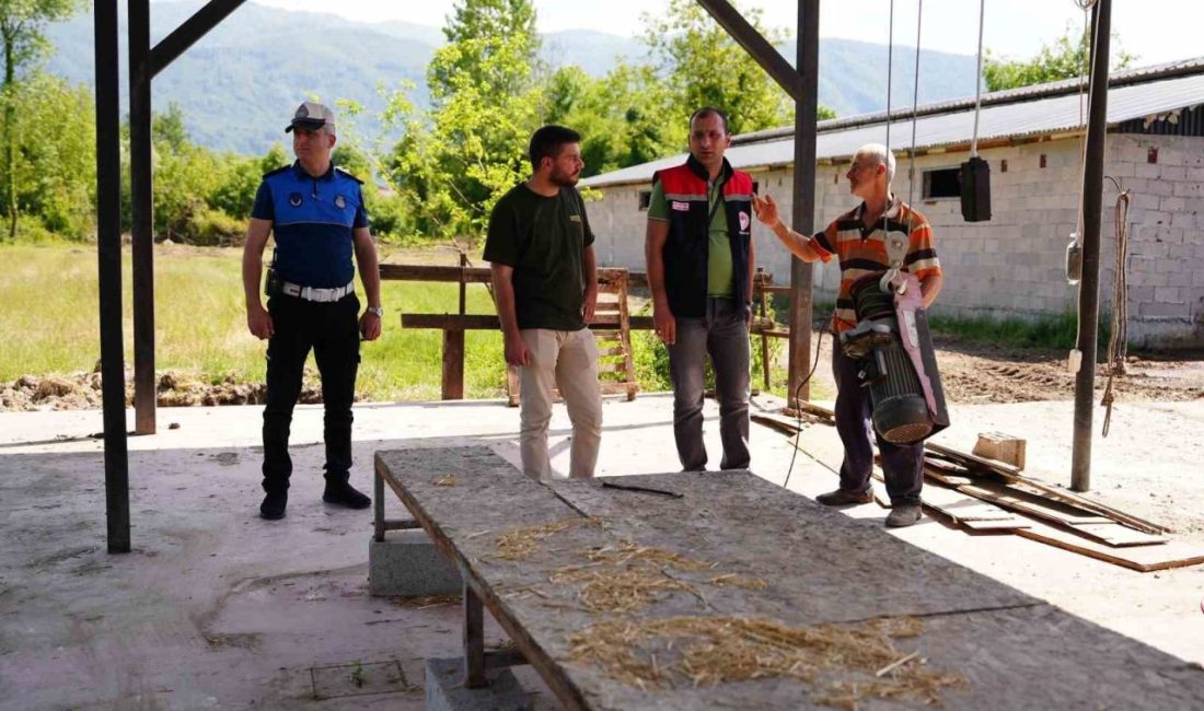 Düzce’de denetimler bayram sonuna kadar sürecek Düzce İl Kurban Hizmetleri Komisyonu’nun aldığı kararlar doğrultusunda, Düzce Belediyesi