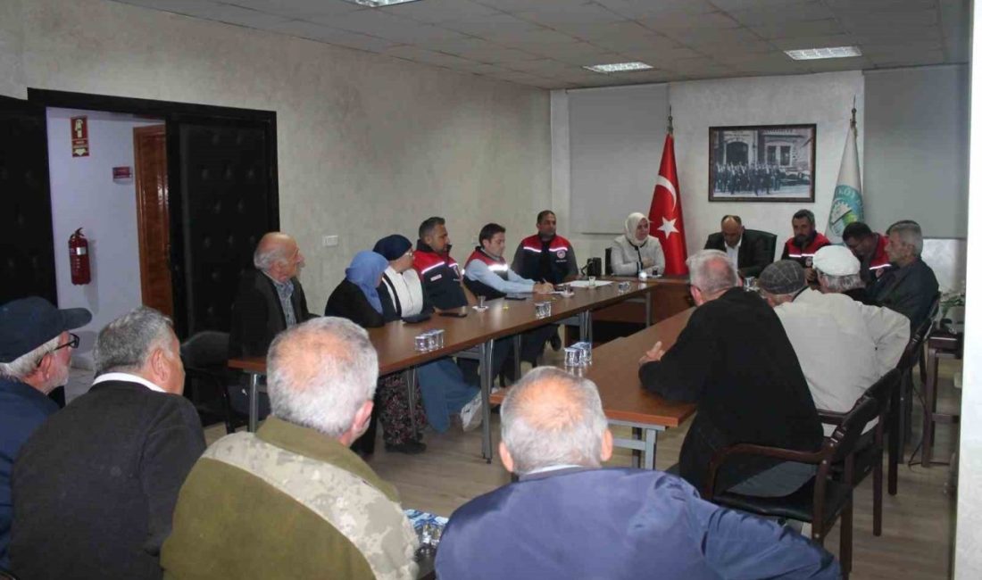 Düzce’de kahverengi kokarcayla mücadele sürüyor Düzce İl Tarım ve Orman Müdürlüğü’nce kahverengi kokarca zararlısına karşı