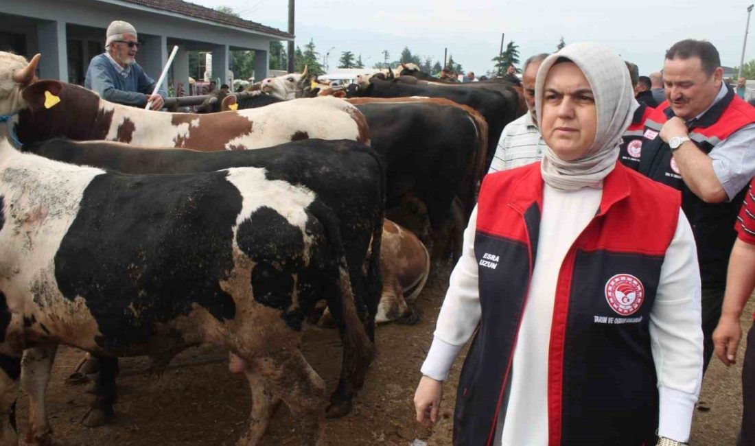 DÜZCE(İHA) – Düzce Tarım ve Orman Müdürlüğü ekipleri, polis ve