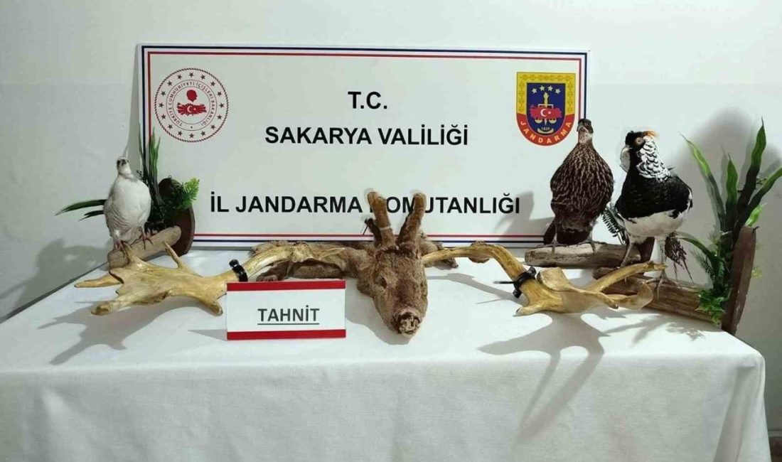 Hayvanat bahçesi gibi ev: Evinden çıkanlar hayrete düşürdü Sakarya’nın Geyve ilçesinde kaçakçılık ve hayvanlara karşı işlenen suçlarla mücadele