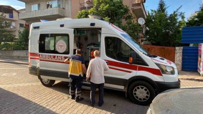 Kocaeli’nin İzmit ilçesinde ıhlamur toplamak için ağaca çıkan ve dengesini