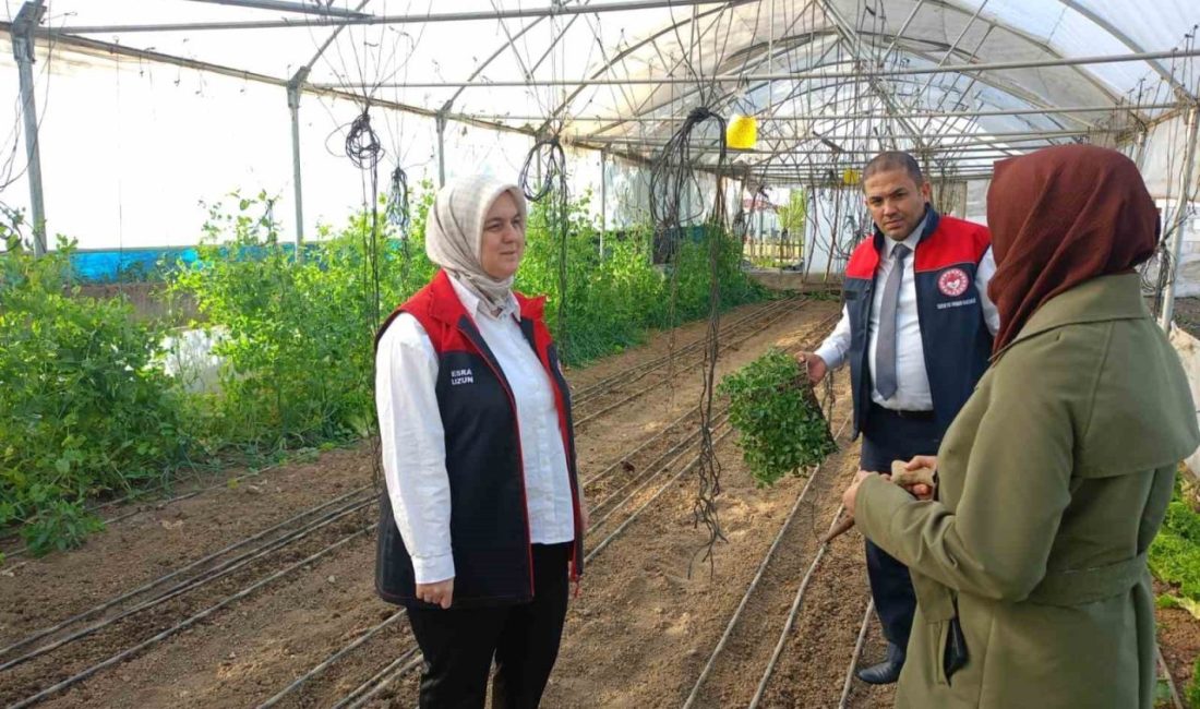 Kadın çiftçiye destek DÜZCE(İHA) – Düzce’de kapsamında kadın çiftçilere yüzde 75’i devlet destekli