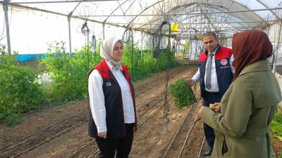 DÜZCE(İHA) – Düzce’de kapsamında kadın çiftçilere yüzde 75’i devlet destekli