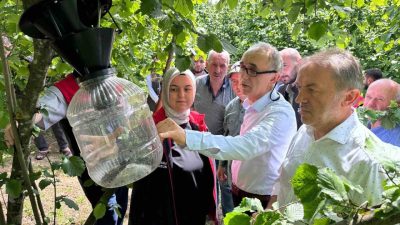 DÜZCE(İHA) – Düzce’nin Gümüşova ilçesinde, Kahverengi Kokarca mücadelesi kapsamında 18