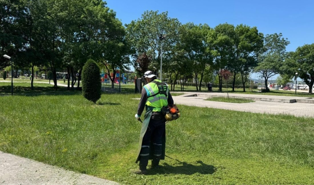 Kartepe’de yeşil alanlara düzenli bakım Kartepe’de park, refüj ve mesire alanlarında gerçekleştirilen ot biçme işlemleriyle,