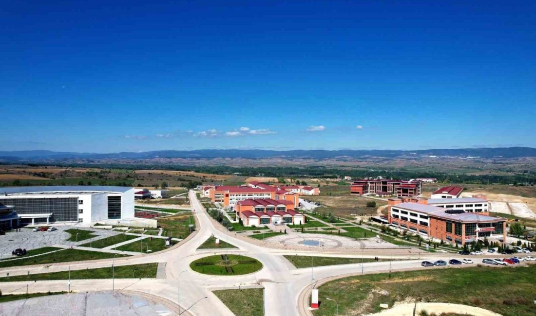 Kastamonu Üniversitesi’nde hayvansal ilaçlardaki mikroplastik tehlikesi araştırılacak Kastamonu Üniversitesi Veteriner Fakültesi tarafından hayvanlara verilen ilaçlardaki mikroplastik tehlikesi