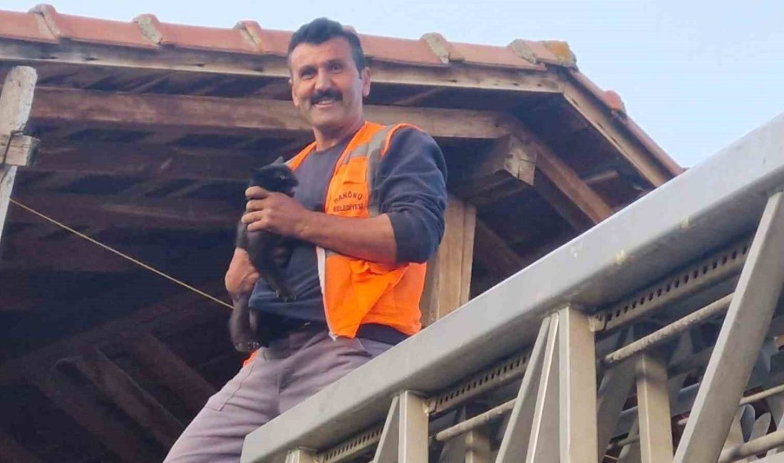 Kastamonu’da evin çatısında mahsur kalan kediyi itfaiye ekipleri kurtardı Kastamonu’nun Hanönü ilçesinde çıktığı çatıda mahsur kalan kediyi itfaiye ekipleri
