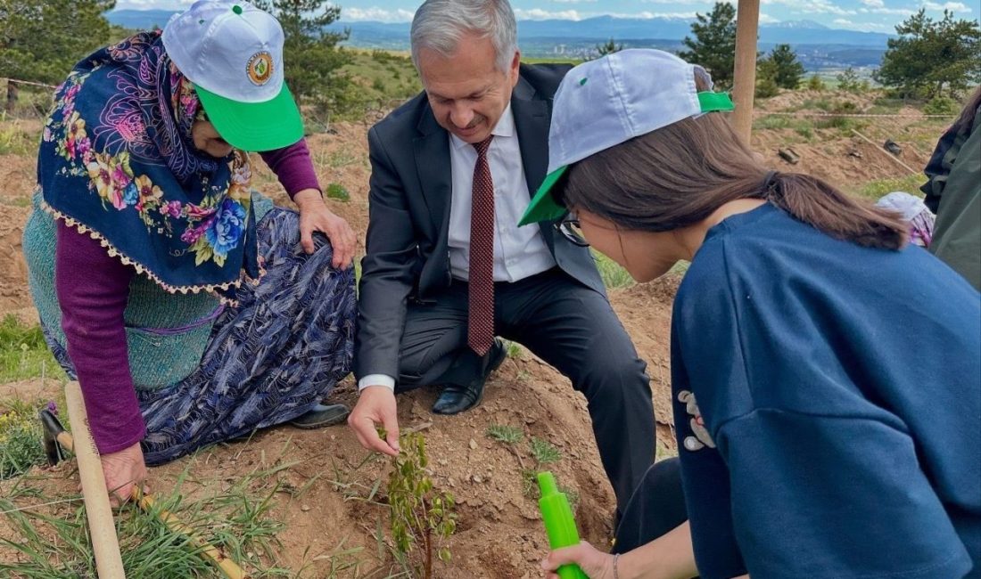 Kastamonu’da huzurevi sakinleri ile sevgi evinde kalan çocuklar fidan dikti Kastamonu’da huzurevinde kalan yaşlılar ile sevgi evinde kalan çocuklar, 150