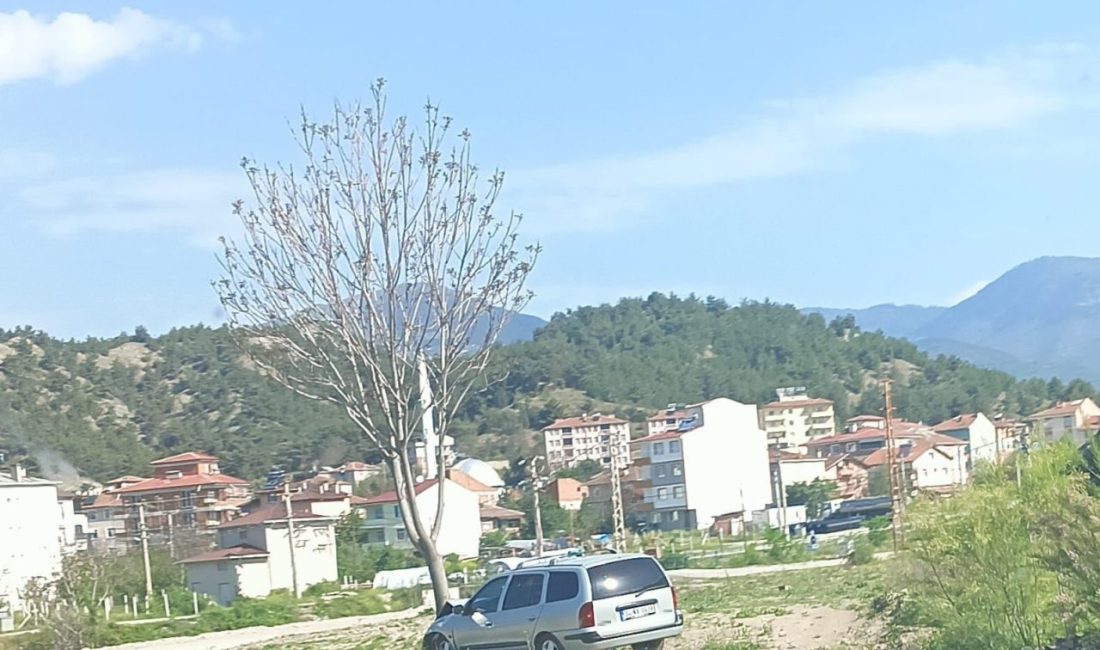 Kastamonu’da otomobil ağaca çarptı: 2 yaralı KASTAMONU (İHA) – Kastamonu’nun Hanönü ilçesinde kontrolden çıkan otomobilin ağaca