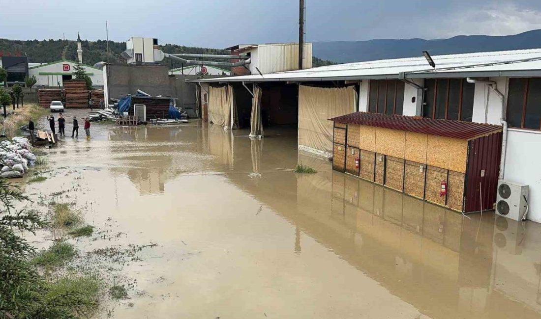 Kastamonu’nun Tosya ilçesinde etkili olan kuvvetli sağanak sebebiyle çok sayıda