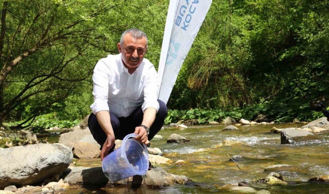 İzmit Körfezi’nde yürütülen balıklandırma çalışmaları kapsamında Kirazdere’ye 8 bin kırmızı