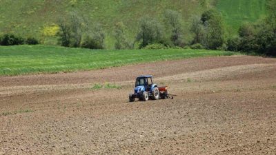 Kocaeli Büyükşehir Belediyesi’nin verdiği yüzde 50 hibeli mısır tohumu ve