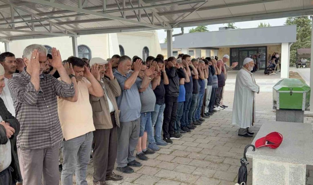 Anadolu Otoyolu Kocaeli geçişinde meydana gelen trafik kazasında hayatını kaybeden