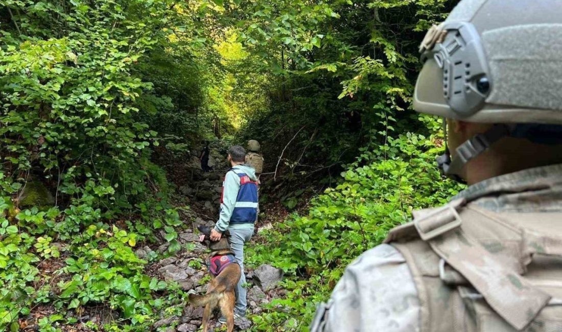 Komandolar yaylalarda didik didik arama yaptı DÜZCE(İHA) – Düzce Jandarma Asayiş Komando Bölük Komutanlığına bağlı timler