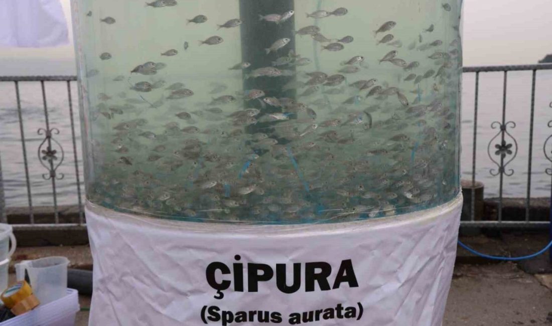 Dip çamuru temizliği, ileri biyolojik arıtma ve balıklandırma projeleriyle İzmit