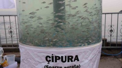 Dip çamuru temizliği, ileri biyolojik arıtma ve balıklandırma projeleriyle İzmit