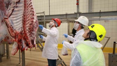 Kocaeli Büyükşehir Belediyesi’nin kurban kesim hizmetinden yararlanmak isteyenler, başvurularını internet