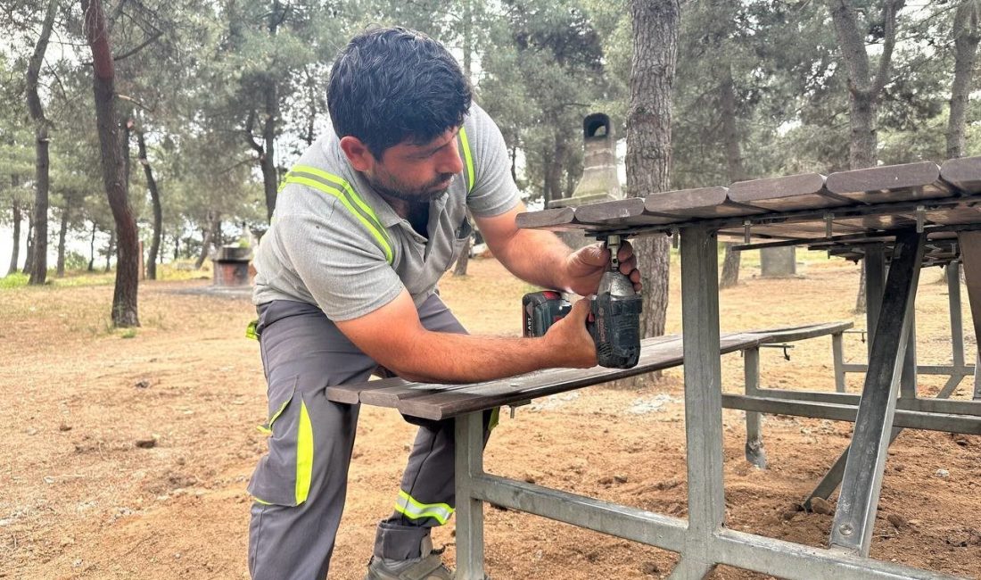 Kuştepe Mesire Alanı’nda bakım çalışması Çayırova Belediyesi Park ve Bahçeler Müdürlüğü ekipleri, Kuştepe Mesire Alanı’nda