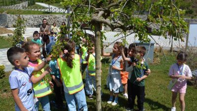 DÜZCE(İHA) – Düzce Kaptan Altay Altuğ Kızılay Anaokulu’ndan 80 öğrenci,