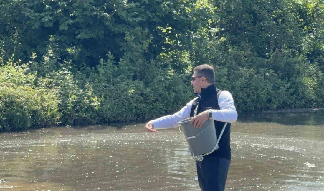 Osmanlı saray mutfağının vazgeçilmezi drone teknolojisi ile toprakla buluştu Osmanlı’da saray mutfaklarının vazgeçilmezi Konuralp pirinci, üretim yolculuğuna başlayarak dron