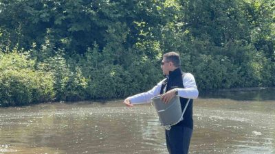 Osmanlı’da saray mutfaklarının vazgeçilmezi Konuralp pirinci, üretim yolculuğuna başlayarak dron