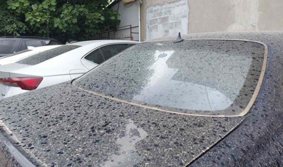 Meteoroloji Genel Müdürlüğü’nün uyarılarının ardından yağan yağmurla birlikte Sakarya’da araçların