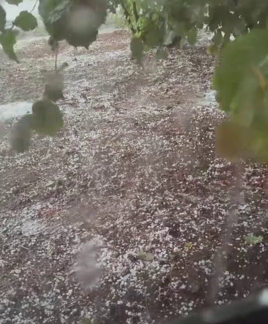 Sakarya’da dolu tarım arazilerini vurdu Sakarya’da aynı anda etkili olan fırtına, sağanak ile dolu yağışı