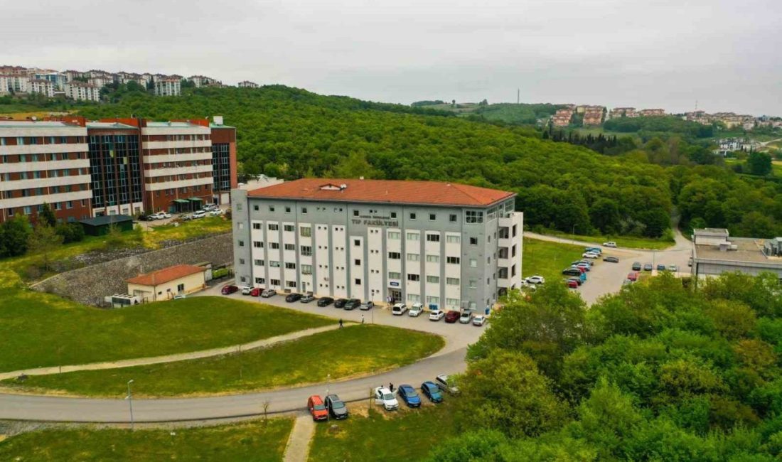 SAÜ Tıp Fakültesi öğrencilerinden uluslararası başarılar Sakarya Üniversitesi (SAÜ) Tıp Fakültesi öğrencileri hem yurt içi hem