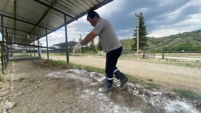 Taşköprü Belediyesi, vatandaşların huzur içerisinde bir bayram geçirebilmesi için hazırlıklarını