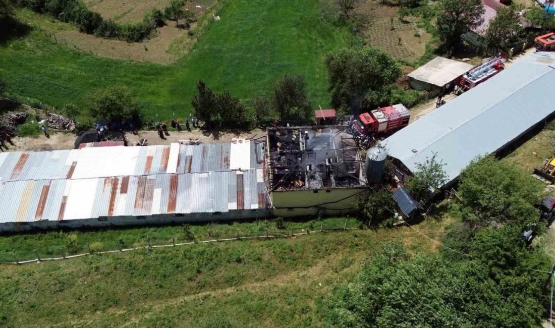 Tavuk çiftliğinde yangın: Binlerce hayvan telef olmaktan son anda kurtarıldı Sakarya’nın Taraklı ilçesinde yaklaşık 10 bin adet kapasiteli tavuk çiftliği