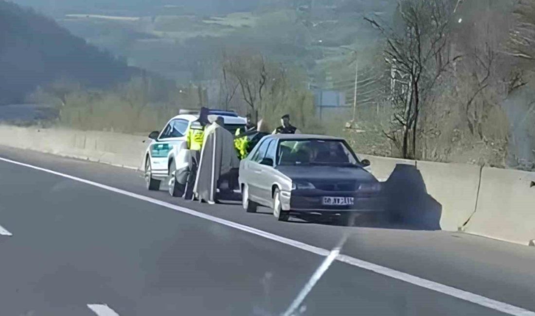 TEM Otoyolu’nun Bolu kesiminde bir sürücünün, Ankara istikametine ters yönde