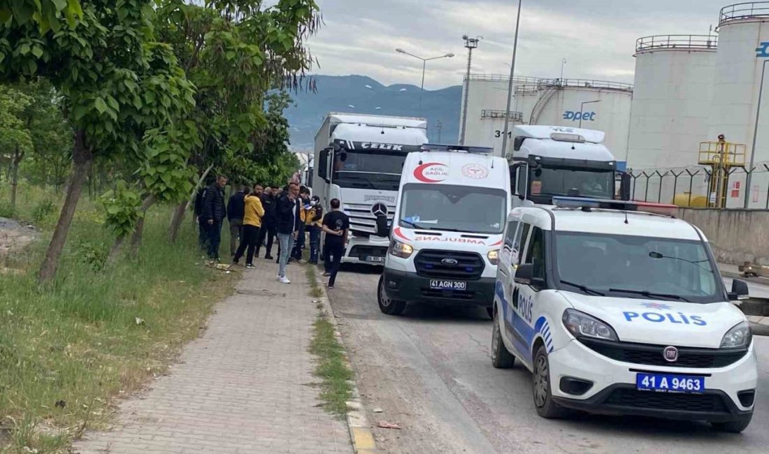 Tır sürücüsü araçta asılı halde ölü bulundu Kocaeli’nin Körfez ilçesinde 35 yaşındaki adam, tırda iple asılı halde