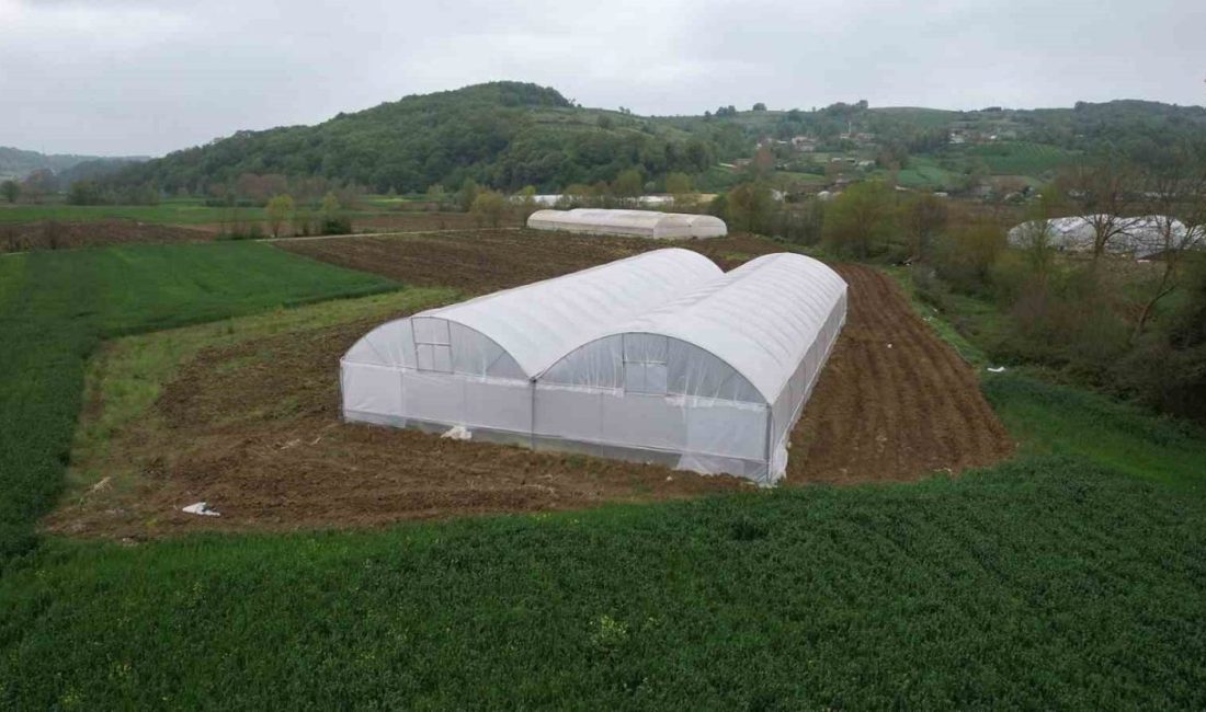Kocaeli Büyükşehir Belediyesi, 512 metrekare alandan oluşan yüzde 50 hibeli