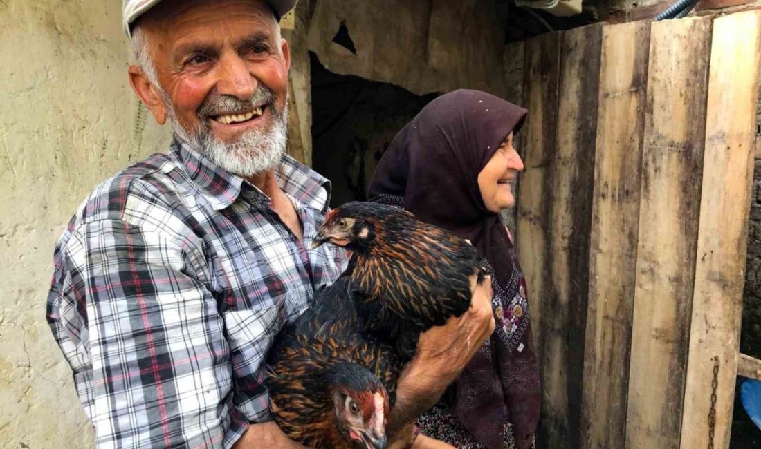 Kocaeli’de yumurta tavukçuluğun geliştirilmesi ve çiftçilerin gelir düzeyinin artırılması amacıyla