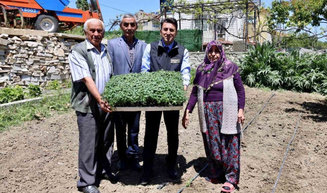 Vali Aygöl yarım asırlık evli Tekin ailesine misafir oldu Bilecik Valisi Şefik Aygöl, Söğüt ilçesi Dereboyu Köyü’nde çiftçilik yapan,