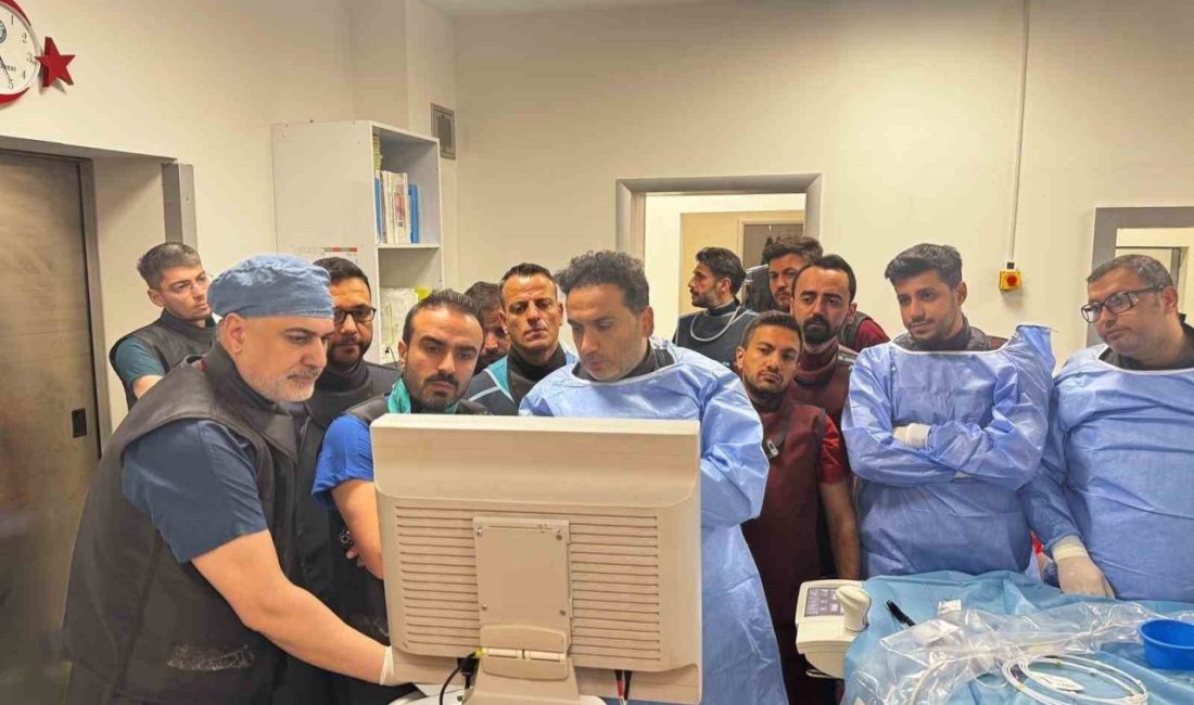 Yalova Eğitim ve Araştırma’da başarılı ileri kardiyovasküler girişimler Yalova Eğitim ve Araştırma Hastanesinde ileri kardiyovasküler girişimler başarıyla gerçekleştirildi.