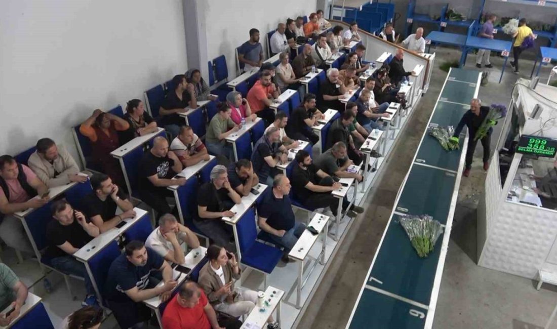 Yalova’daki çiçek mezatlarında Anneler Günü hareketliliği Türkiye’nin kesme çiçek üretiminde önde gelen illerinden Yalova’da, Anneler Günü