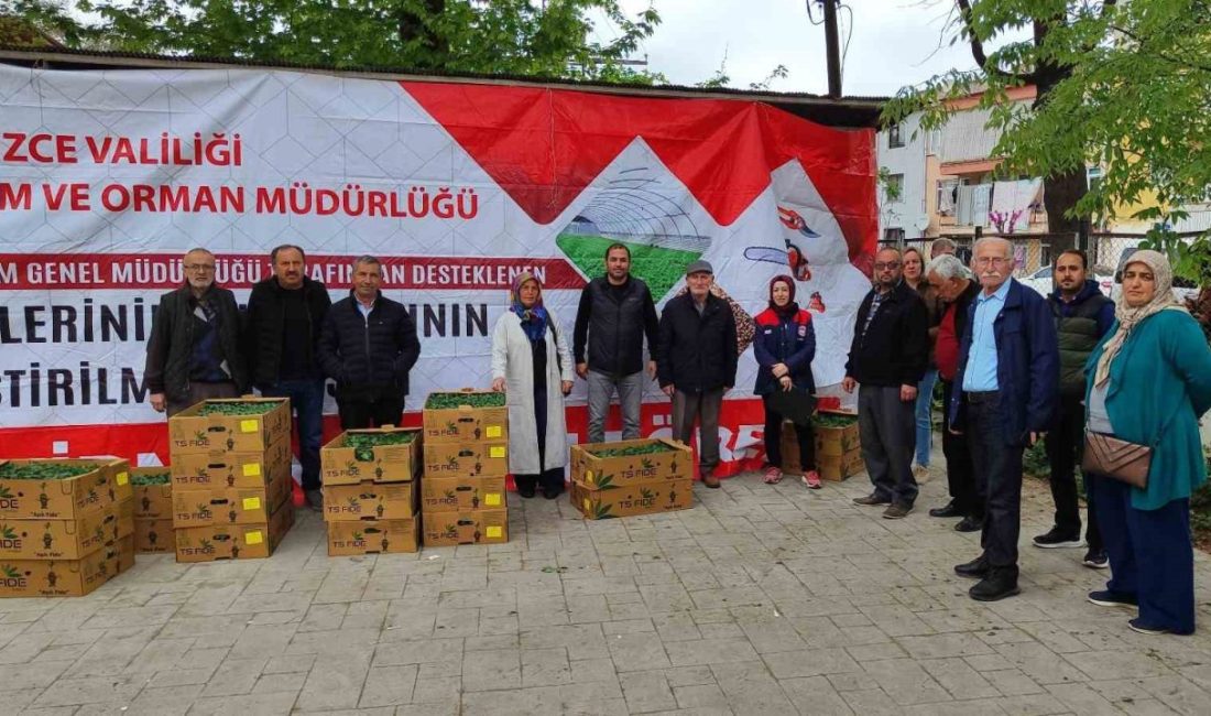 Düzce’de tarım arazilerinin kullanımının etkinleştirilmesi projesi kapsamında yüzde 75’i bakanlık