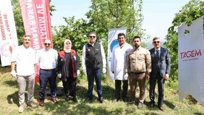 Düzce’de Kahverengi Kokarca’ya karşı biyolojik mücadele dahilinde 20 bin Smurai