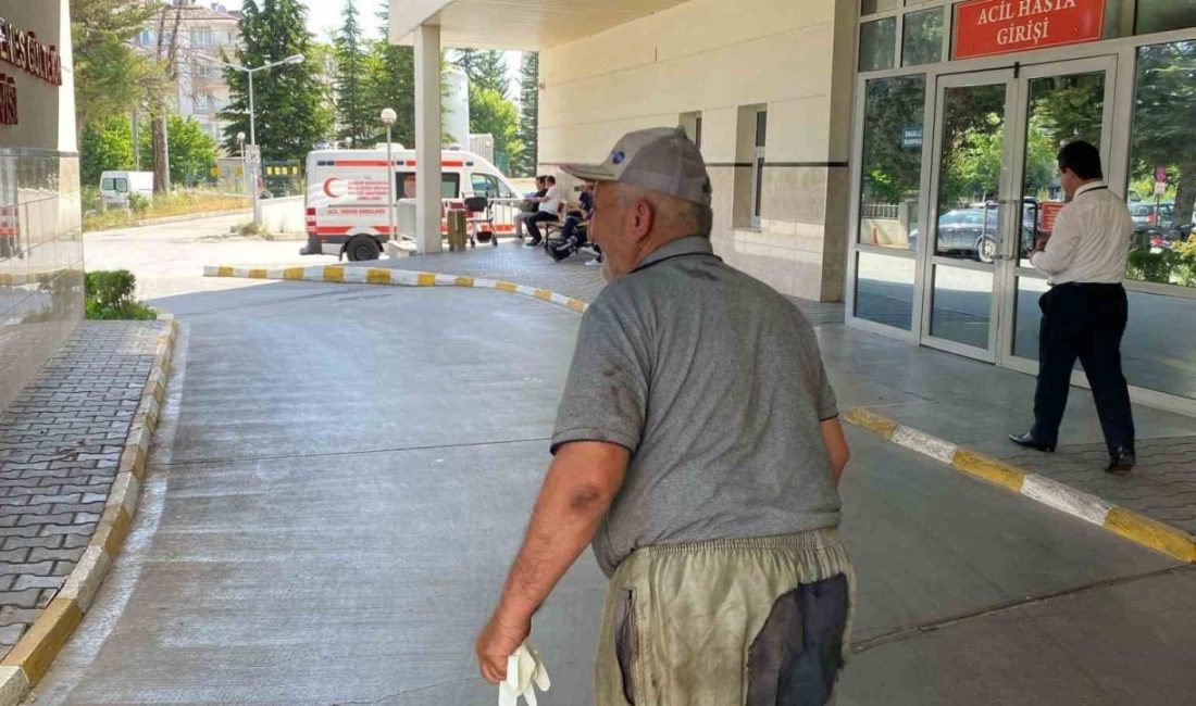 Bolu’da kurban kesmek için kolları sıvayan onlarca acemi kasap soluğu