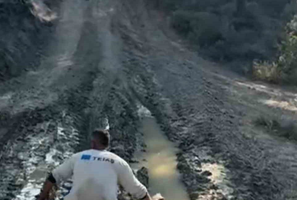 Alevlere elindeki pet şişeyle direndi: O anlar kamerada Sakarya’nın Geyve ilçesinde orman yangınında bir vatandaş, çukurdan aldığı suyu