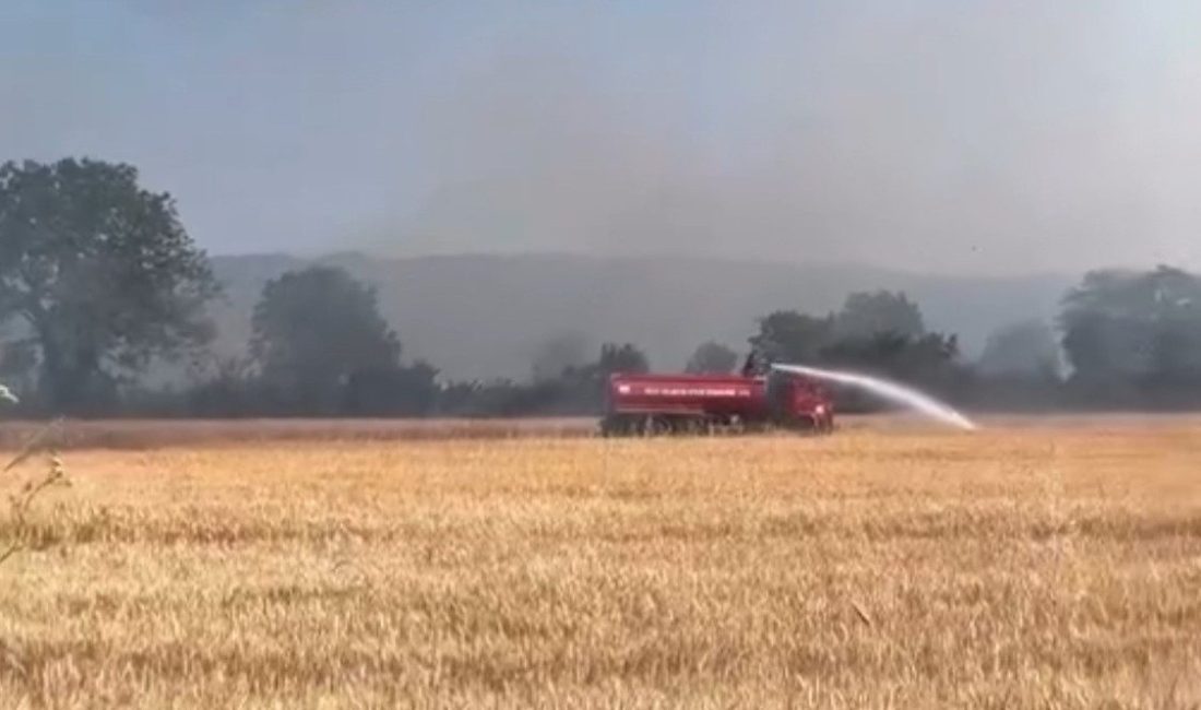 Düzce’de merada çıkan anız yangını rüzgarın etkisi ile güçlükle söndürüldü.