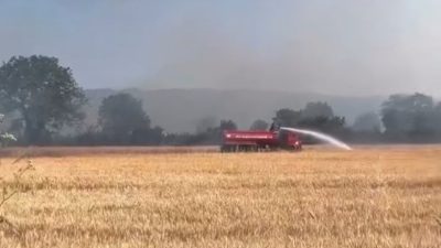 Düzce’de merada çıkan anız yangını rüzgarın etkisi ile güçlükle söndürüldü.