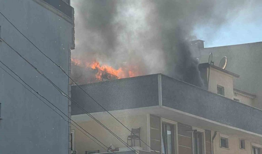 Apartman çatısı alevlere teslim oldu Kocaeli’nin Gebze ilçesinde 4 katlı apartmanın çatısında çıkan yangın korkuttu.