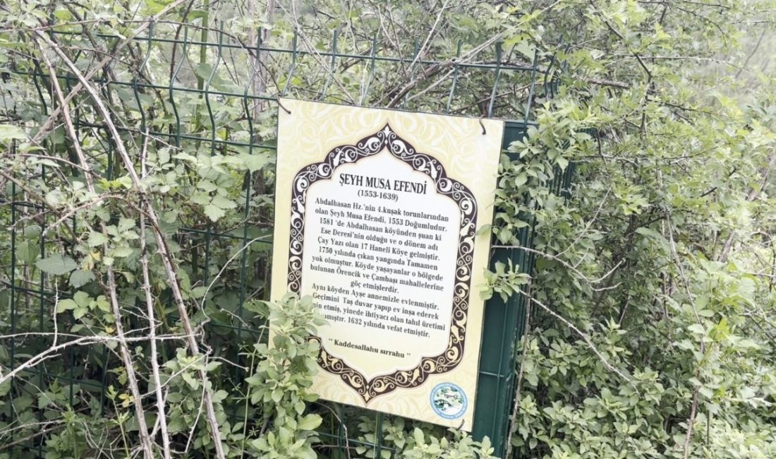 Asırlık türbe bakımsızlık ve kaçak kazılarla yok olma tehlikesiyle karşı karşıya Kastamonu’nun Taşköprü ilçesindeki Şeyh Musa Dede Türbesi, bakım eksikliği ve