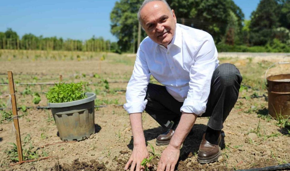 DÜZCE(İHA) – Düzce’de ata tohumu üretimi ve yetiştiriciliği tarım akademisi