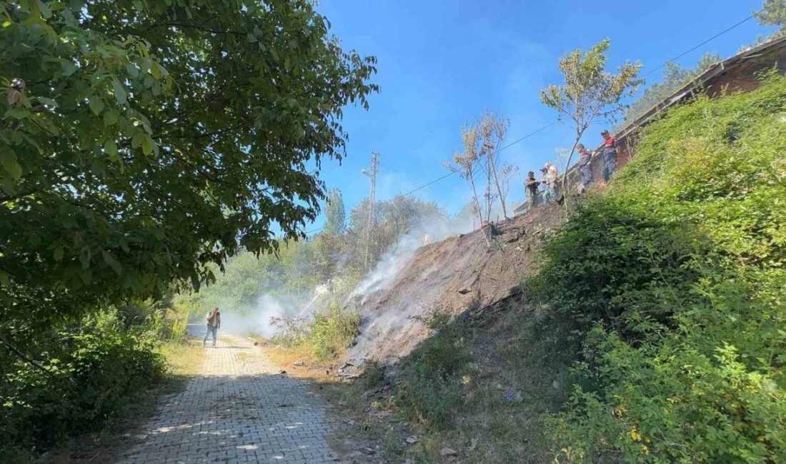 Bahçede çıkan yangın evi küle çeviriyordu Kastamonu’nun Hanönü ilçesinde bir evin bahçe kısmında çıkan yangın, eve